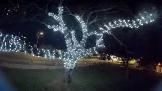 Honolulu Christmas Lights // Spedix Rex HD (2s)