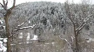 Minnesota Sasquatch Carrying Deer Like Grocery Bags