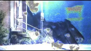 KENTUCKY SCUM - CHARIOT [OFFICAL VIDEO]