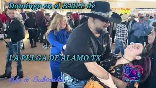 Los Bailes mas Virales de La Pulga DE Alamo Texas