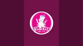 fur ever dog spa is live!