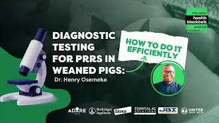 Dr. Henry Osemeke: Efficient PRRS Testing | Ep. 53