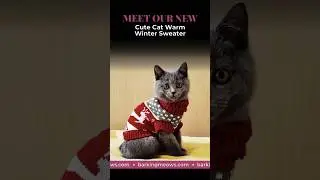Have you seen our #cute #cat warm winter sweater? #catclothes #cats #catshorts #catlife #catlover