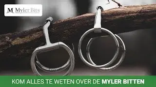 Kies het juiste bit voor jouw paard!