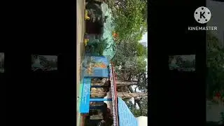Bogribari Alupara Mandir dharsha