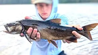 7 Days Canoeing & Camping Northern MN - Catching Wild Lake Trout + Walleye Catch & Cook 