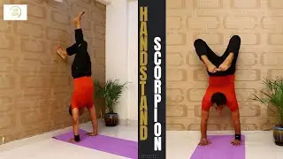 Handstand Variations in under 3 minutes (Scorpion) With Wall | Amit Chauhan
