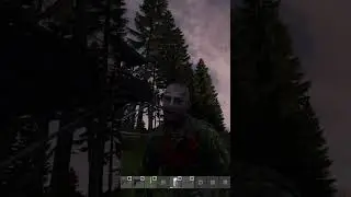 Why DayZ is Beautiful