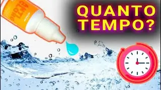 Quanto tempo o ANTICLORO DEMORA para FAZER EFEITO na &aacute;gua do aqu&aacute;rio?