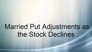 Married Put Adjustments as the Stock Declines