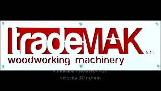 Piranha 412 - 30 m/min multirip saw multiblade multilama by TradeMak srl