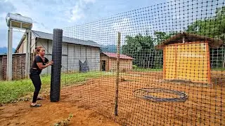 Building a Fence for My Chickens | Creating a Safe Space and Future Farm Plans