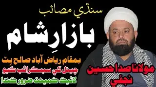 Allama Sada Hussain Najfi 20 Muharam Majlis E Aza At Village Riaz Abad Salehpat 2025