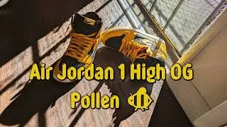 Air Jordan 1 High OG Pollen On Feet and Review