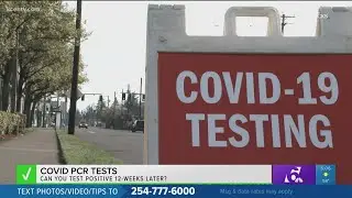 Verify: Can you test positive for COVID 12-weeks later?