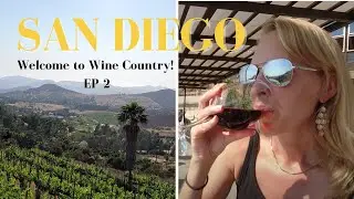 Wine Country in San Diego! 🍷 A visit to Cordiano Winery 🌞 | San Diego Vlog 2