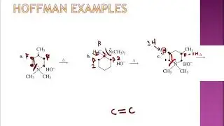 CHM 252:  Organic Chemistry:  Amines:  Hoffman Reaction Examples and Thiols Functional Group Part 28