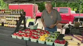 Peanut Stand Paying Off Lunch Debt for Kids