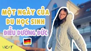 Một ngày của du học sinh ngành điều dưỡng Đức có gì vui - Tổ chức Lễ hội mùa xuân - Thi đua xe lăn