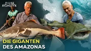 Die wahren Giganten des Amazonas | Fluss Monster