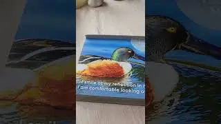Reflection - Daily Psychic Reading