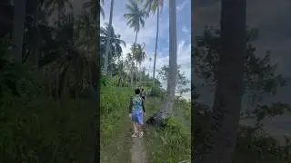 Walking near the sea #fypyoutube #youtubefollowers  #youtubeshorts