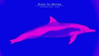 Music for Filmmakers &bull; Vertex &bull; Unique piano music for movies