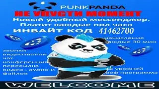 &laquo;Обзор PunkPanda от СуперЗвёзд Крипто Мира&raquo;