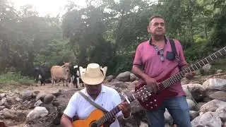Los Armadillos de la Sierra - Flores Finas (Video Oficial)