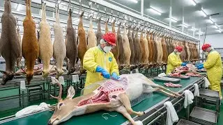 Inside the Deerskin Factory &ndash; Full Process How Million-Dollar Bands Are Made #luxurybrand #deer #ai