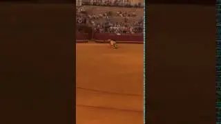 (Bullfight) The first matador