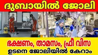 Dubai job vacancy 2026 | UAE jobs Malayalam| Gulf jobs Malayalam | Dubai jobs| Today gulf jobs