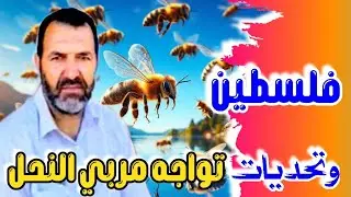 تربية النحل في فلسطين و أبرز التحديات 👆 الاستاذ بسام السرطاوي #فلسطين #اليمن