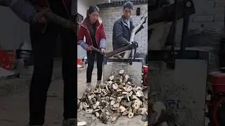 The process of making fuel from tree branches in a wood chipper