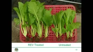 REV Trials & Research