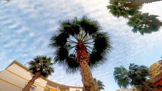 GoPro Hero 8 Video Test