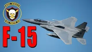 Fighter Squadron's F 15