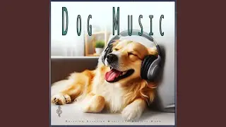 Calming Ocean Waves for Dog Anxiety