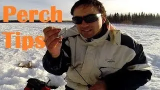 How to Catch Jumbo Perch