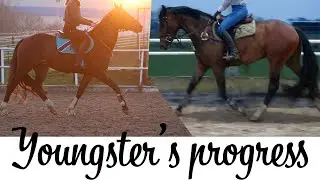 Progress of my 4yo