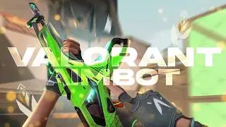 Using The BEST COLORBOT in IMMORTAL ELO 🎯 ft.TroyServices (VALORANT UNDETECTED COLORBOT)