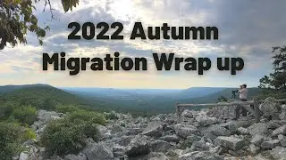 2022 Hawk Mountain Raptor Migration Count: Wrap Up and Overview