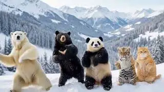 animal dance