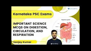Important Science MCQs on Digestion, Circulation, and Respiration | SANJAY KUMAR H P | Karnataka PSC