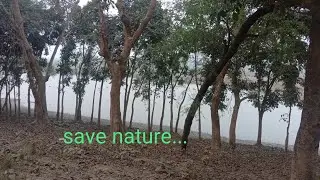 Natural zone 