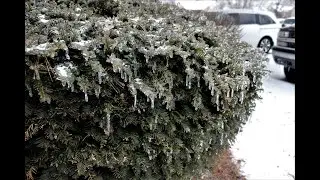Winter storm | Ice Storm 2021 | Louisville | Kentucky