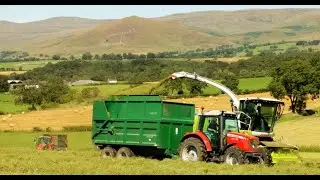 Silaging with Nearly New Claas 940 and Masseys.  Sneak Peek at the MergeMaxx. Incomparable Views!!
