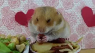 A Cheeks and Squeaks Valentine
