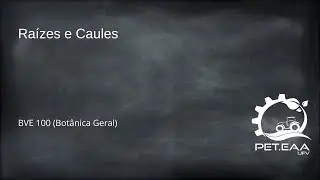 Raízes e Caules - BVE 100 (Botânica Geral)
