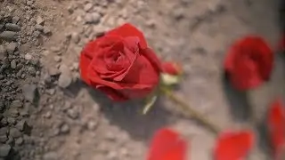 -YYC Heart Break- (Short Film)